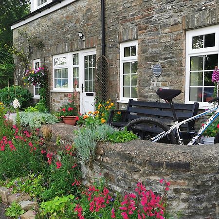 Swansea Valley Holiday Cottages Cilybebyll Exterior foto